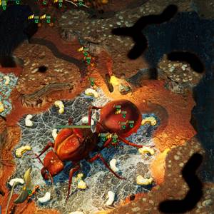 Empires of the Undergrowth Reina Hormiga