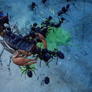 Empires of the Undergrowth Exploding Ants - Escorpión
