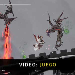 ENDER LILIES Quietus of the Knights Vídeo Del Juego