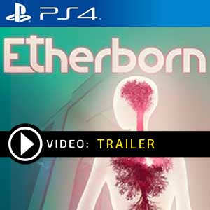 Comprar Etherborn Ps4 Barato Comparar Precios
