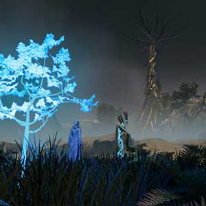 Ex Natura Nature Corrupted Salva los Arboles