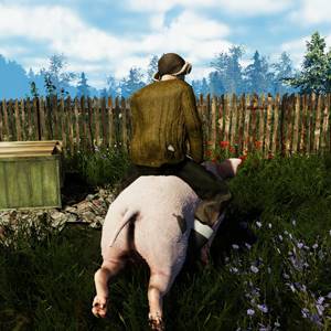 Farmer’s Life - Esponjoso