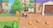 Animal Crossing 3.0.3 Corrige la Interfaz y el Objeto de Aniversario