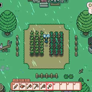 Fields of Mistria Lluvia