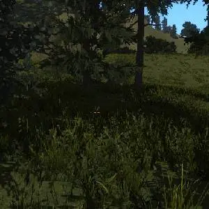 Fleeting Ages - Vegetación