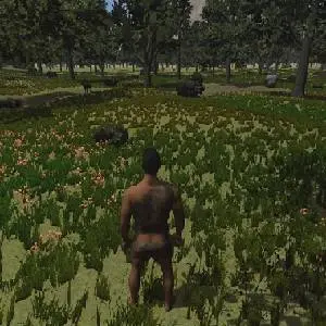 Fleeting Ages - Caza