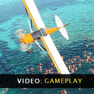 Flight Simulator Gameplay Video