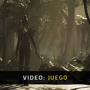 Flintlock The Siege of Dawn - Vídeo del juego