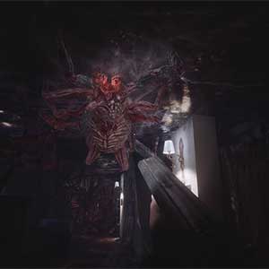 FOBIA St Dinfna Hotel - Jefe Araña