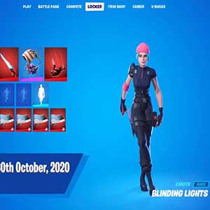 Fortnite Wildcat Bundle Nintendo Switch - Luces cegadoras