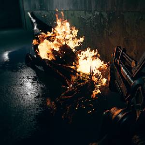 Fossilfuel 2 - Fuego