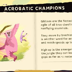 Gibbon Beyond the Trees - Acrobático Campeones