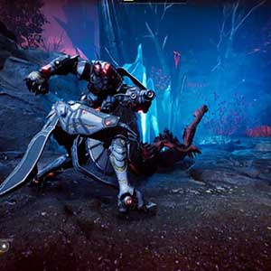 Godfall Fire and Darkness Moebius