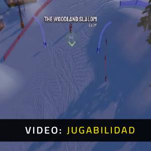Grand Mountain Adventure Wonderlands Video de Juego