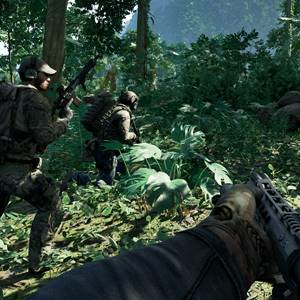 Gray Zone Warfare - Bosque