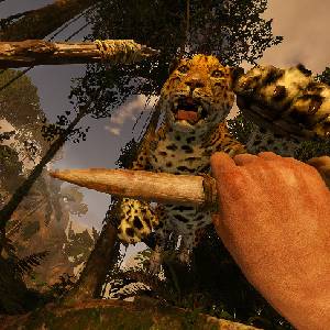 Green Hell VR - Zarpazo