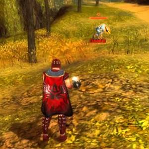 Guild Wars Prophecies Personaje