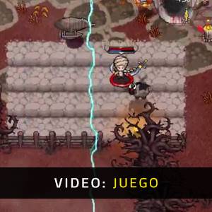 Hero Siege - Vídeo del juego