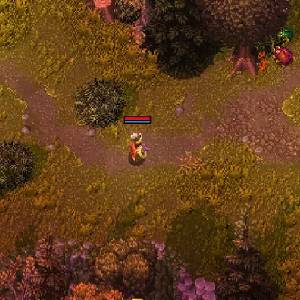 Heroes of Hammerwatch 2 - Escarabajos