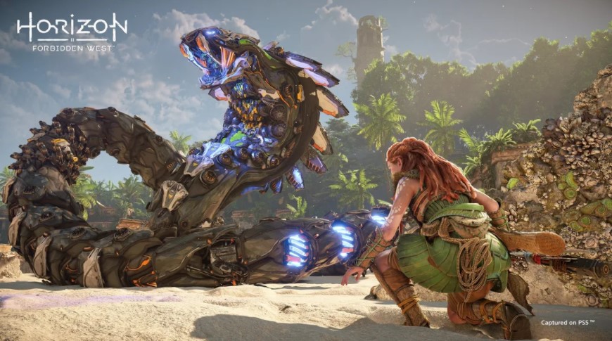 horizon forbidden west ps5 game code