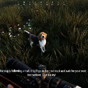 Hunting Simulator 2 - Beagle