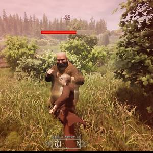 Inspector Schmidt A Bavarian Tale - Combate