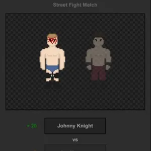 Journey of Wrestling - Combate