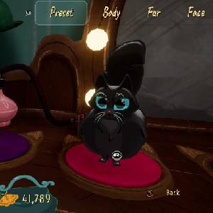 Jumping Jazz Cats - Paquete de inicio Jazz Cat