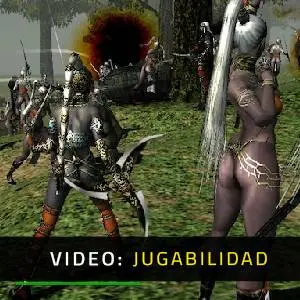 Kingdom Under Fire: The Crusaders - Vídeo del Jugabilidad