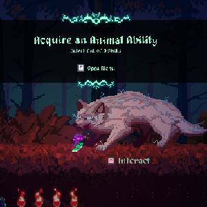 Koboo The Tree Spirit - Habilidad Animal