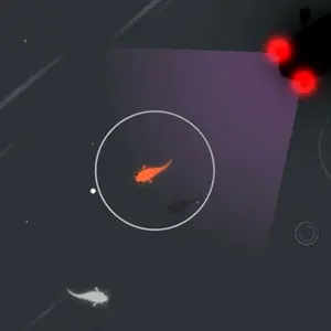 Koi DX - Black Fish