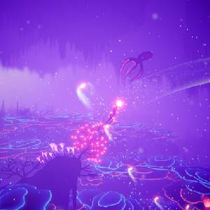 Koral - Corriente Oceánica