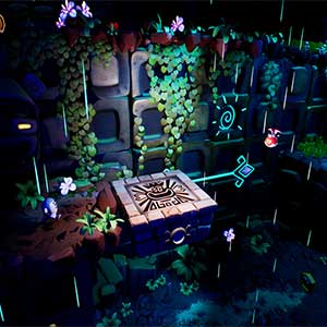 Kukoos Lost Pets - Cajas