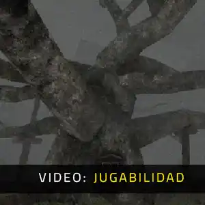 Labyrinth Of The Demon King - Video de Jugabilidad