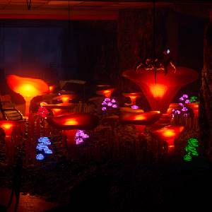 Level Unknown Backrooms - Planta Bioluminiscente