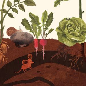 Little Mouse's Encyclopedia - Subterráneo