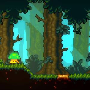 Lone Fungus 2 - Bosque