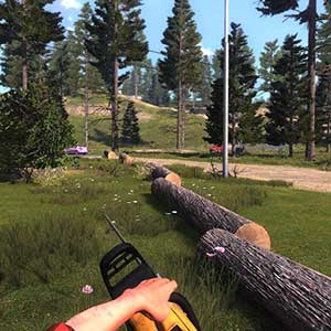 Lumberjack's Dynasty - Motosierra