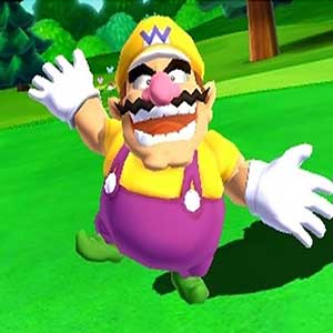 participate in a tournament