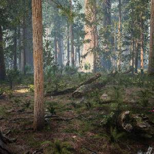 Medieval Apocalypse - Bosques