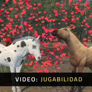Medieval Horse Dealer Simulator - Jugabilidad