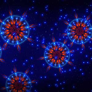 Microcosmum Survival of Cells - 6 celdas