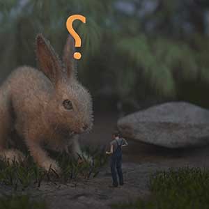 MicroMan Conejo