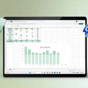 Microsoft Office Home & Business 2024 - Gráfico