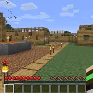 Minecraft Pumpkin Patch