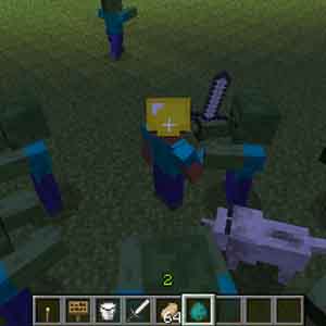 Minecraft Farm