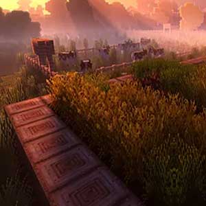 sun stream through fog