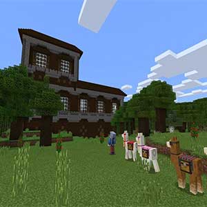 sun stream through fog