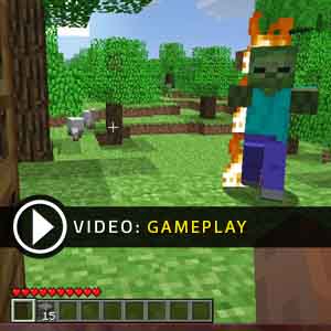 Minecraft Gameplay Video