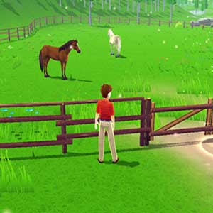 Pampering horses